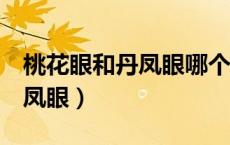 桃花眼和丹凤眼哪个最美人（桃花眼 杏眼 丹凤眼）