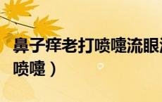 鼻子痒老打喷嚏流眼泪怎么回事（鼻子痒老打喷嚏）