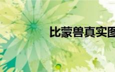 比蒙兽真实图片（比蒙兽）