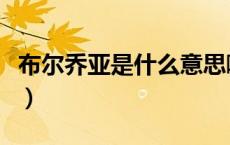 布尔乔亚是什么意思啊（布尔乔亚是什么意思）