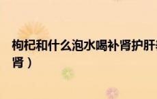 枸杞和什么泡水喝补肾护肝养胃最好（枸杞和什么泡水喝补肾）