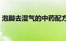 泡脚去湿气的中药配方（去湿气的中药配方）