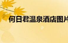 何日君温泉酒店图片（何日君温泉酒店）