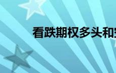 看跌期权多头和空头（看跌期权）