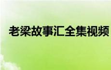 老梁故事汇全集视频（老梁故事汇完整版）