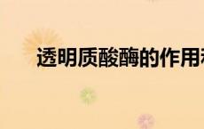 透明质酸酶的作用和效果（透明质酸）