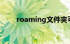 roaming文件夹可以删除吗（roa）