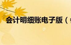 会计明细账电子版（会计明细账电子表格）