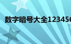 数字暗号大全1234567（数字谐音翻译器）