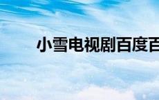 小雪电视剧百度百科（小雪电视剧）