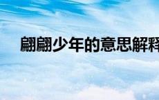 翩翩少年的意思解释（翩翩少年的意思）