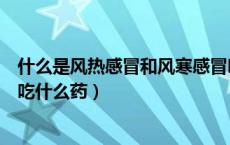 什么是风热感冒和风寒感冒吃什么药（风热感冒和风寒感冒吃什么药）