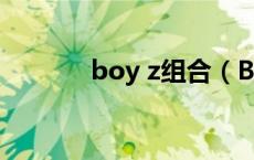 boy z组合（BOYZ组合简介）