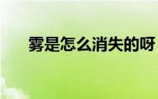雾是怎么消失的呀（雾是怎么消失的）