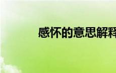 感怀的意思解释（感怀的意思）