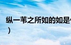 纵一苇之所如的如是什么意思（纵一苇之所如）