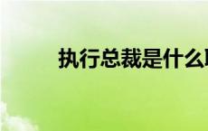 执行总裁是什么职位（执行总裁）