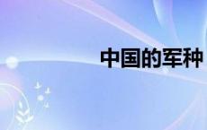 中国的军种（中国军种）