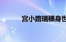 宫小路瑞穗身世（宫小路瑞穗）