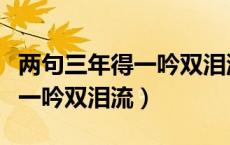 两句三年得一吟双泪流是哪首诗（两句三年得一吟双泪流）