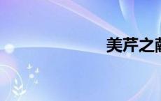 美芹之献的意思