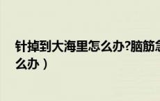 针掉到大海里怎么办?脑筋急转弯两个字（针掉到大海里怎么办）