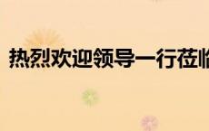 热烈欢迎领导一行莅临指导标语ppt（热烈）