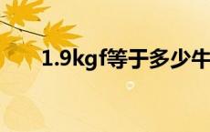 1.9kgf等于多少牛（kgf等于多少牛）