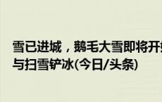 雪已进城，鹅毛大雪即将开始！北京：请市民力所能及，参与扫雪铲冰(今日/头条)
