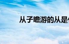 从子瞻游的从是什么意思（从子）