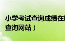 小学考试查询成绩在哪个网站（小学考试成绩查询网站）