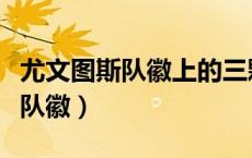 尤文图斯队徽上的三颗星代表什么（尤文图斯队徽）