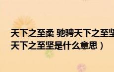 天下之至柔 驰骋天下之至坚无有入无间（天下之至柔 驰骋天下之至坚是什么意思）
