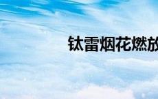 钛雷烟花燃放视频（钛雷）