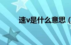 速v是什么意思（suv是什么意思）