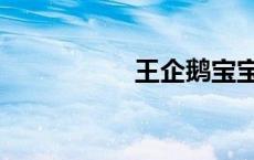 王企鹅宝宝（王企鹅）
