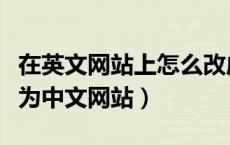 在英文网站上怎么改成中文（英文网站怎么变为中文网站）