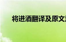 将进酒翻译及原文注释（将进酒翻译）