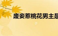 废妾惹桃花男主是谁（废妾惹桃花）