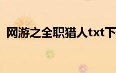 网游之全职猎人txt下载（网游之全职猎人）