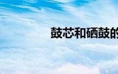 鼓芯和硒鼓的区别（鼓芯）