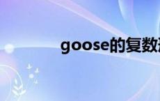 goose的复数形式（goose）