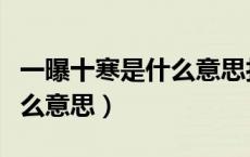 一曝十寒是什么意思打一生肖（一曝十寒是什么意思）