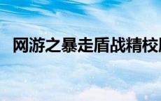 网游之暴走盾战精校版（网游之暴走盾战）
