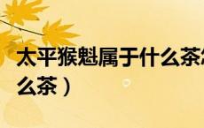 太平猴魁属于什么茶怎么泡（太平猴魁属于什么茶）