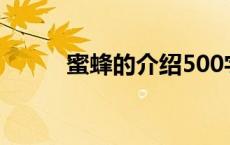 蜜蜂的介绍500字（蜜蜂的介绍）