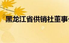 黑龙江省供销社董事长（黑龙江省供销社）