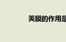 荚膜的作用是什么（荚膜）