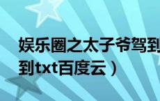 娱乐圈之太子爷驾到 小说（娱乐圈之太子驾到txt百度云）