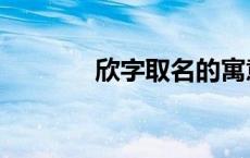 欣字取名的寓意（欣字取名）